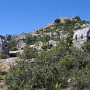 IMG_1168.jpg