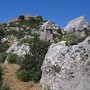 IMG_1169.jpg