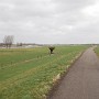 P1000213.JPG