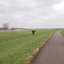 P1000213