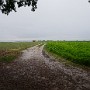 P1000047.JPG
