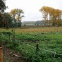 P1000054.JPG