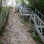 P1000058.JPG