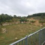 P1000060.JPG