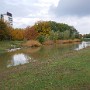P1000065.JPG