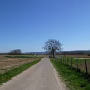 P1030744