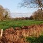 P1000150.JPG